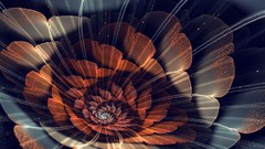 Flowers abstract crystal flowers