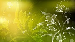 Flowers abstract multicolor