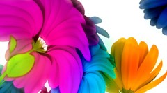 Flowers abstract multicolor