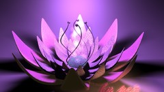 Flowers abstract purple flowers 3d