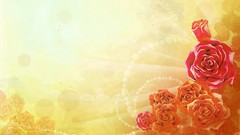 Flowers abstract roses