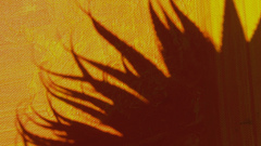 Flowers abstract yellow flower