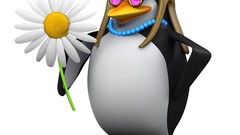 Flowers Animals happy pinguin