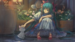 Flowers Animals water rain cats Plants Garden dress barrels 