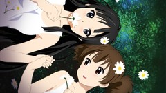 Flowers Anime akiyama mio k - on