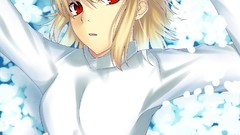 Flowers Anime anime girls arcueid brunestud tsukihime