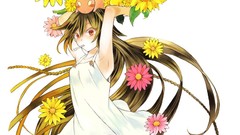 Flowers Anime dress anime girls pandora hearts stuffed animals 