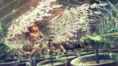 Flowers anime girls greenhouse anime boys