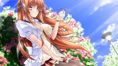 Flowers anime girls touhou video games Koakuma