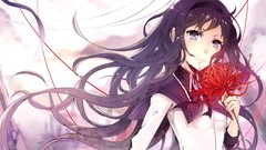 Flowers Anime long hair mahou shoujo madoka magica akemi homura 