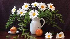 Flowers apples white flowers still life vases