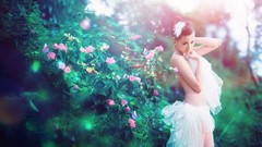 Flowers asians warm colors