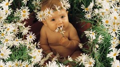 Flowers babies Anne Geddes