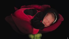 Flowers babies Anne Geddes