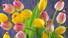 Flowers babies Anne Geddes