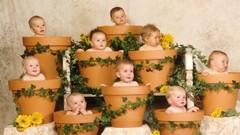 Flowers baby Anne Geddes