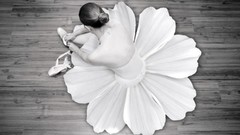 Flowers ballet monochrome ballet shoes dancers