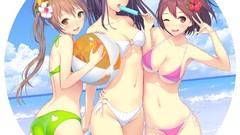Flowers Beaches bikini popsicles beach ball