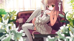 Flowers Bears dress blondes blush long hair anime girls animal 