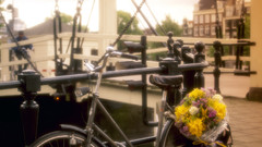 Flowers Bicycles