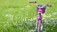 Flowers Bicycles Grassland