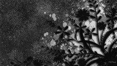 Flowers black and white abstract Flower wall splashes