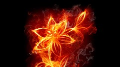 Flowers black fire light Euro