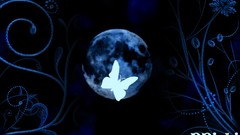 Flowers blue Butterflies moon