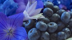 Flowers blueberries fruits