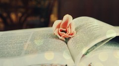 Flowers Books dots Culture