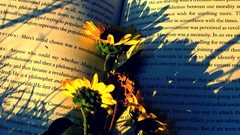 Flowers Books Karl Marx