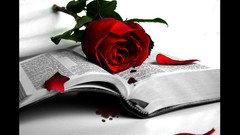 Flowers Books roses red rose artwork