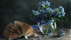Flowers Books still life vases blue flowers