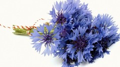 Flowers bouquet blue flowers