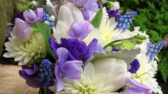 Flowers bouquet spring valleys