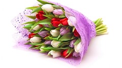 Flowers bouquet tulips