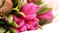 Flowers bouquet tulips pink flowers