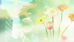 Flowers bubbles dreamy cityscapes