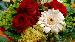 Flowers bucket lifestyle