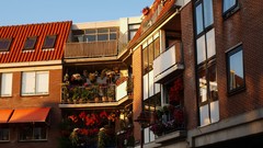 Flowers buildings complex magazine