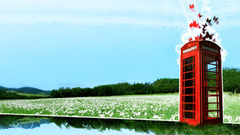 Flowers butterfly insect