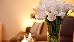 Flowers Candles tulips couch