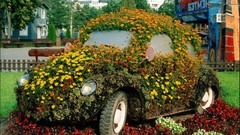Flowers cars