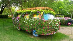 Flowers cars Garden