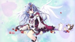 Flowers cats roses wings Anime anime girls