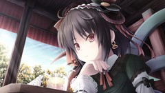 Flowers chairs wings dress drinks red eyes Ribbons houses 