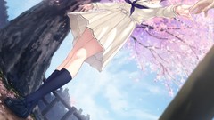 Flowers cherry blossoms innocent grey novel game cg Kara no 