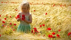 Flowers children Poppies