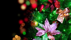 Flowers Christmas decorations