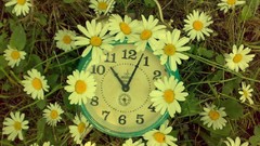 Flowers clocks